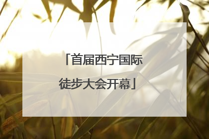 首届西宁国际徒步大会开幕